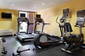 A gym with treadmills, elliptical machines, and weight benches.