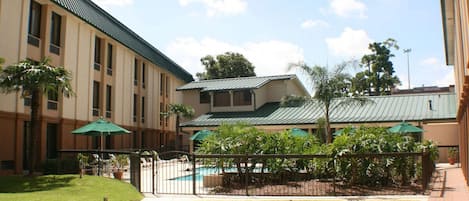 Uima-allas