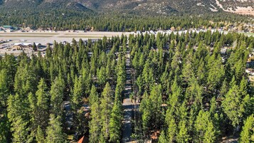 A dense forest with a clear road running through it.