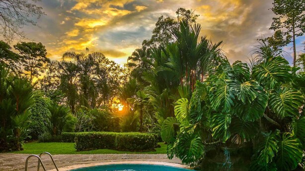 A swimming pool with two inflatable rings, surrounded by lush tropical vegetation and a sunset in the background. - Stunning Suite 104 Walking Distance to the Beach (Savegre)
