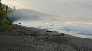 A beach with a rocky shoreline, a boat, and a palm tree. - Stunning Suite 104 Walking Distance to the Beach (Savegre)