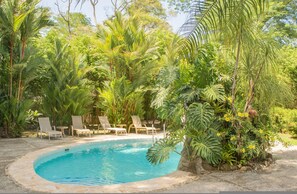 House | 1 bedroom - Stunning Suite 104 Walking Distance to the Beach (Savegre)