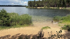 Un lago con orilla arenosa, rodeado de árboles y vegetación densa.