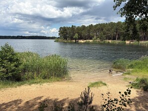Ein See mit sandigem Ufer, umgeben von dichter Vegetation und Bäumen.