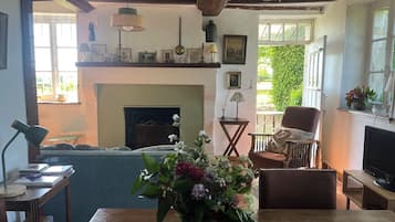 TV, fireplace, books