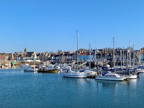 A marina with boats docked, a town in the background, and a clear sky.