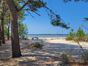 A beach with trees, a wooden fence, and a clear sky. - House near lake and ocean in family resort (Hourtin)