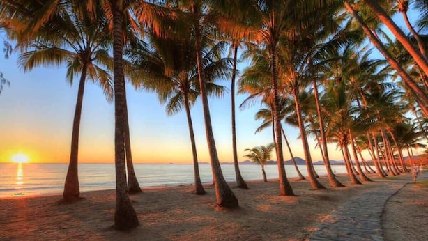 A beach with palm trees and a sunset. - The Palms at Mango Lagoon—Palm Cove Wellness Haven (Palm Cove)