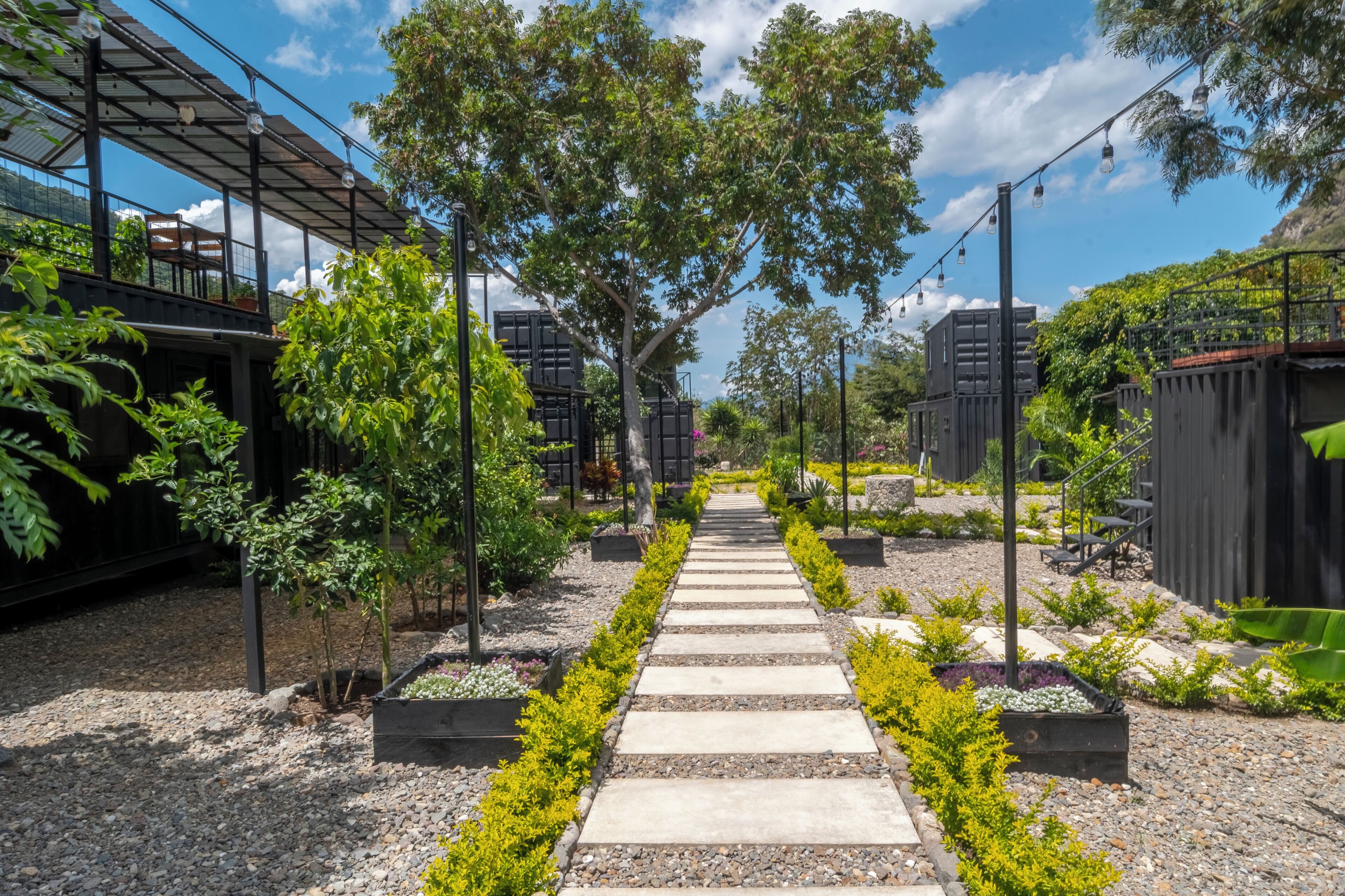 A pathway leading through a garden with various plants and a metal structure on the left.