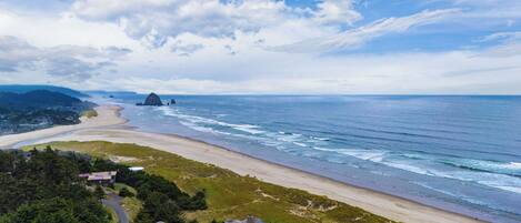 Paisaje costero con playa, océano y zona boscosa.