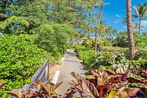 A pathway flanked by lush greenery and palm trees, leading towards a building. - Beachfront Ka'anapali Studio - Vacation West Maui (Lahaina)
