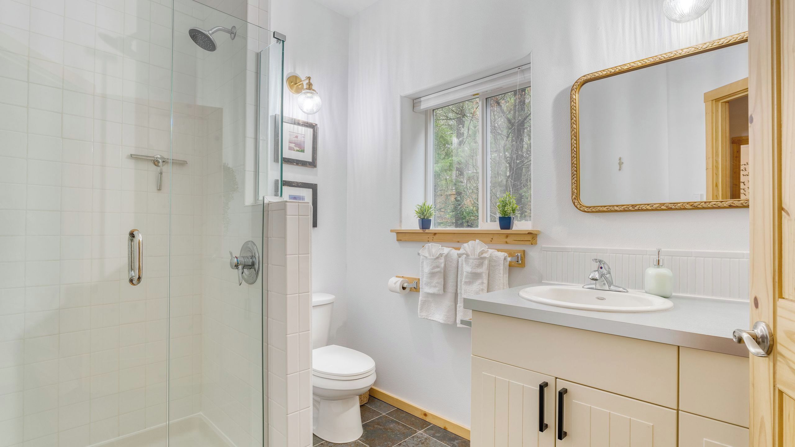 A bathroom with a glass shower enclosure, a toilet, a sink with a mirror, and a window with plants.