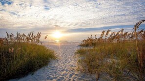 Uma trilha de areia com gramíneas altas que leva ao oceano.