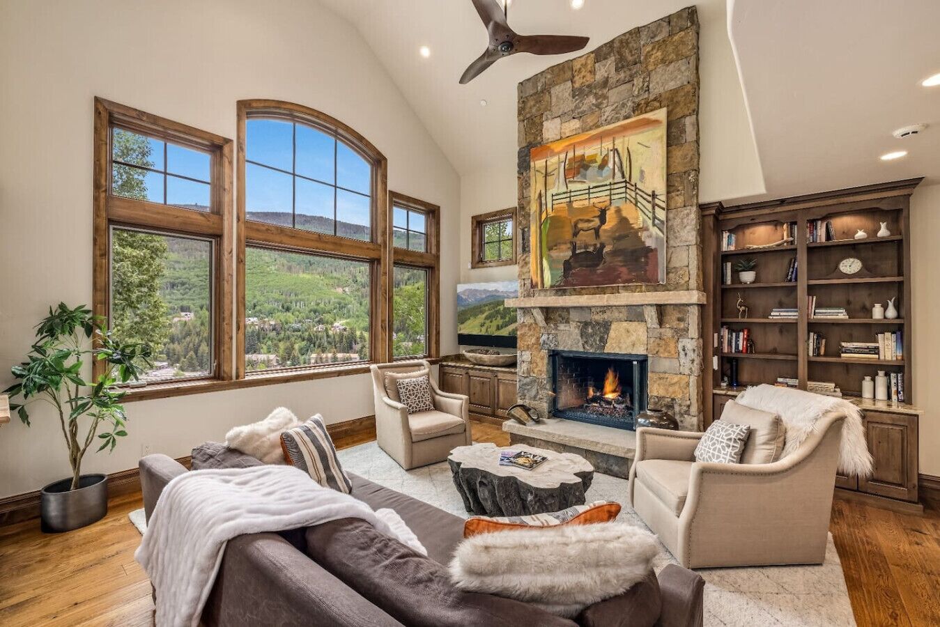 TV, fireplace, stereo