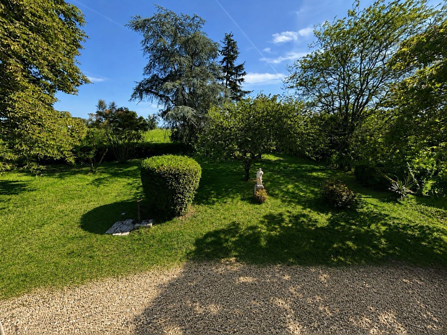 Um jardim bem cuidado com diversas árvores e uma sebe bem aparada.