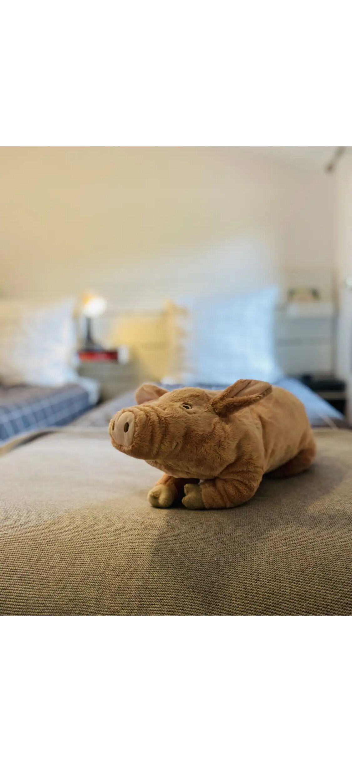 Un peluche sobre una superficie texturizada.