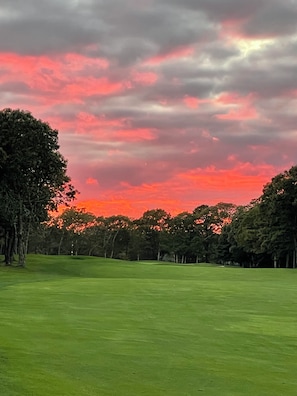 A golf course with a clear sky and trees.