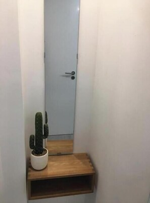 Ein schmaler Flur mit einer Tür, einem kleinen Holzregal mit einem Kaktus und einem Spiegel, der die Tür widerspiegelt.