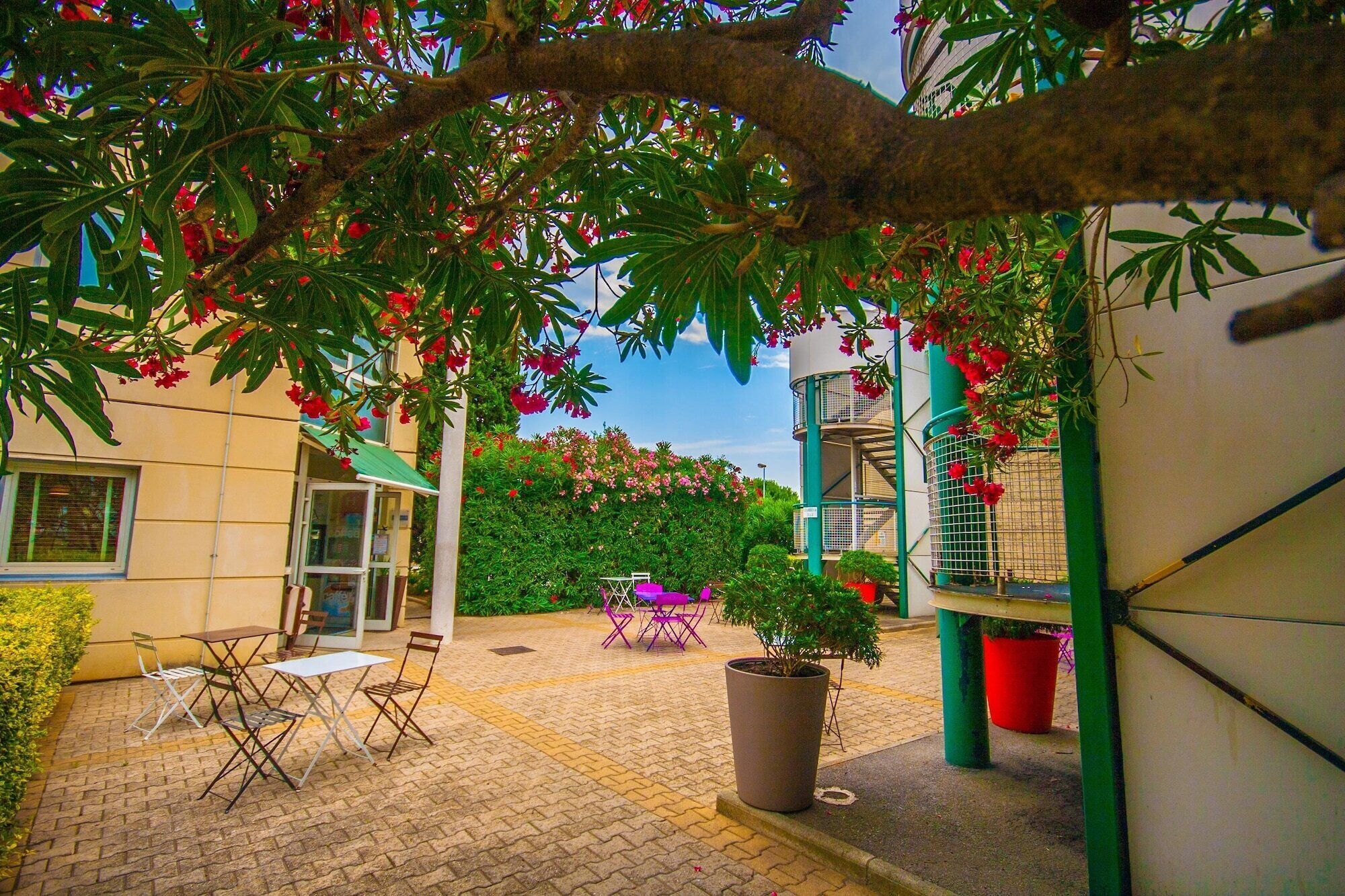 An outdoor patio area with a table and chairs, a potted plant, and a building with a green and white exterior.