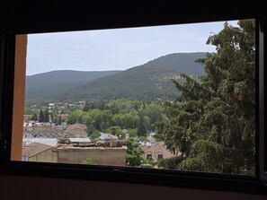 A view through a window of a residential area with houses, trees, and a hill in the background.