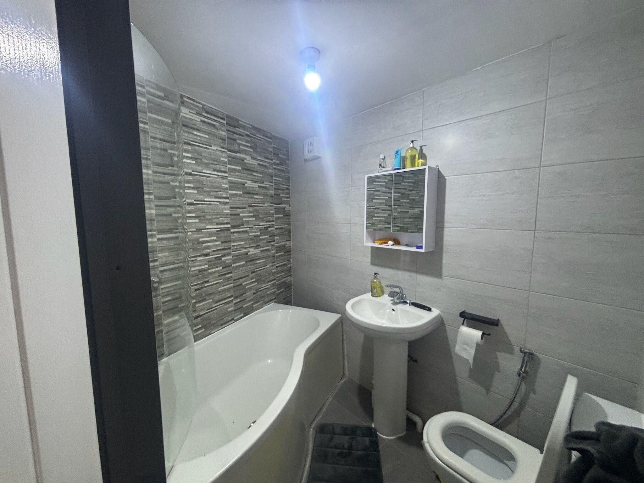 Hair dryer, towels, soap, toilet paper