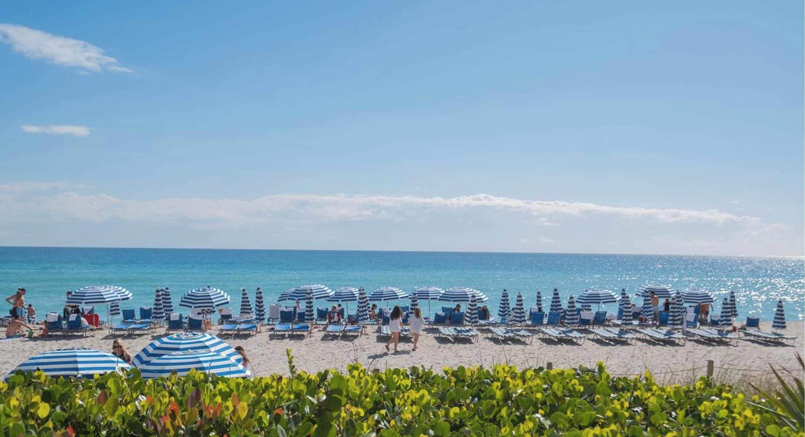 A beach with rows of striped umbrellas and lounge chairs, a clear sky, and calm sea.