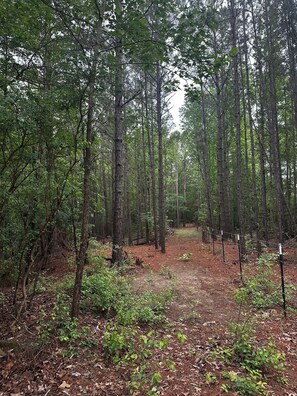 Miscellaneous - Quiet Pine Retreat off Hwy 155 near Palestine—cozy, scenic, relaxing getaway (Palestine)