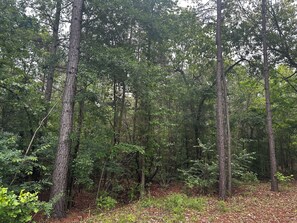 Miscellaneous - Quiet Pine Retreat off Hwy 155 near Palestine—cozy, scenic, relaxing getaway (Palestine)