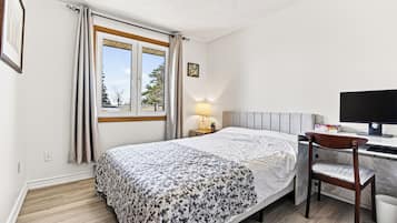 Iron/ironing board, internet, bed sheets