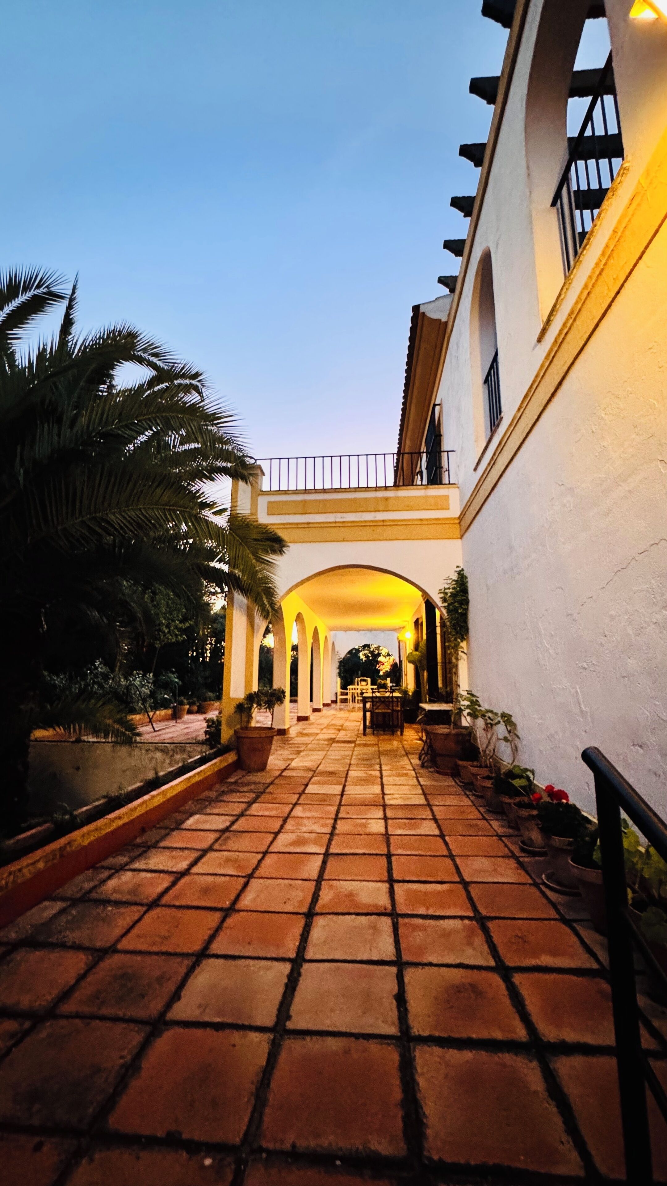 Terrace/patio