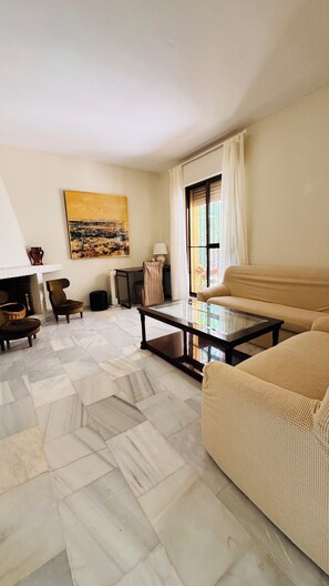 Smart TV, fireplace, books