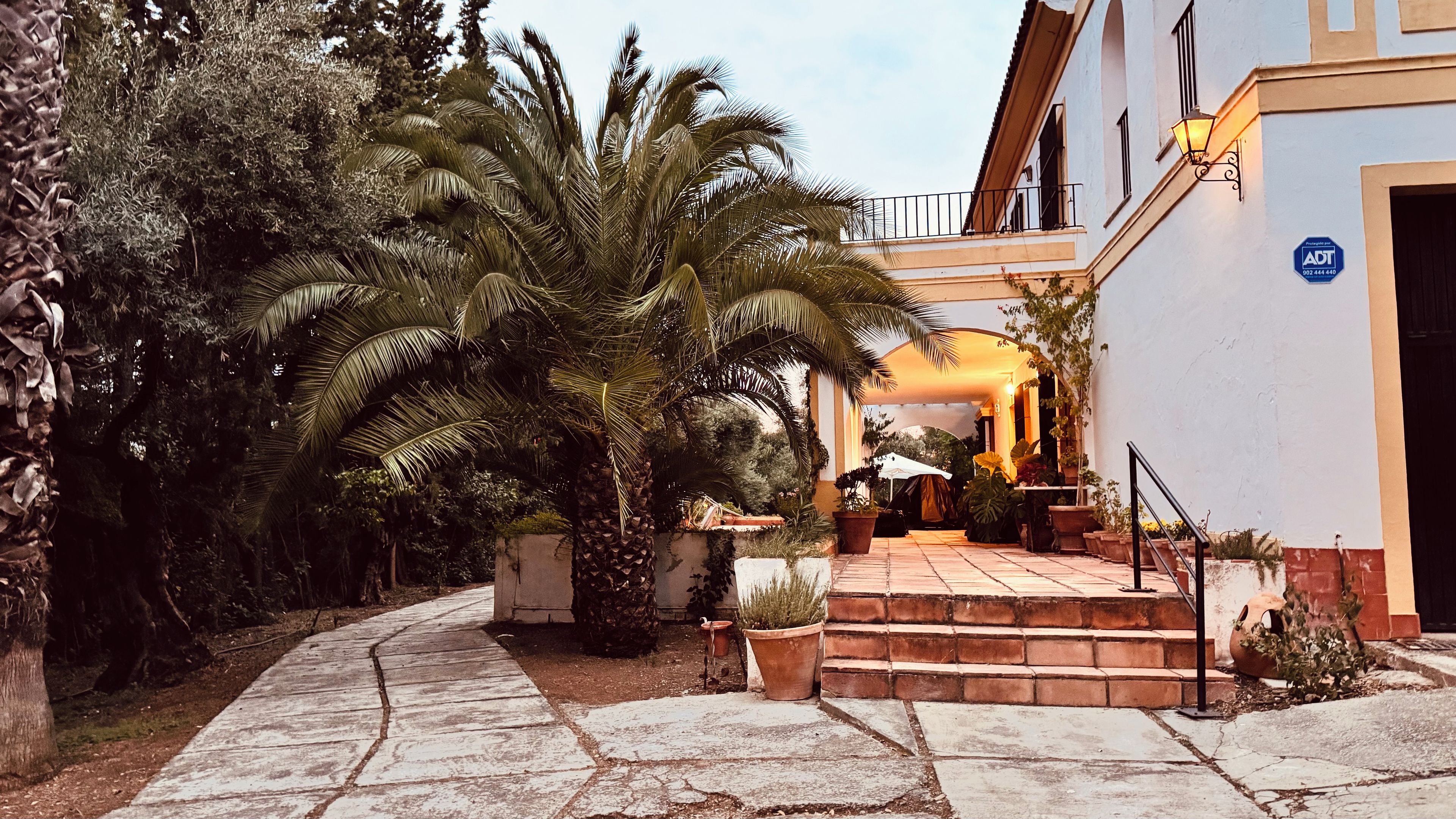 A building with a stone pathway leading to a set of steps, surrounded by lush greenery and palm trees.