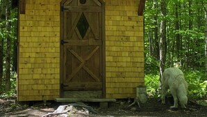 Uma cabana de madeira com janela hexagonal, porta com janela em forma de losango e uma pequena varanda.
