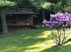 A wooden cabin with a deck, surrounded by lush greenery and a flowering tree. - Clear Lake Retreat • Big Deck • Fire Pit • Views (Tionesta)