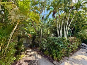 Ein Garten mit Palmen, einem Betonweg und einem Gebäude im Hintergrund.