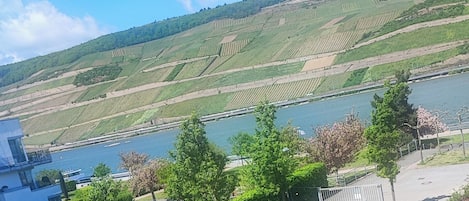 Terrain de lâhĂ©bergement