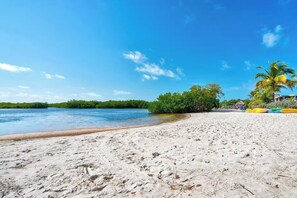 Una spiaggia sabbiosa con un mare calmo, alcune palme e diversi kayak colorati.