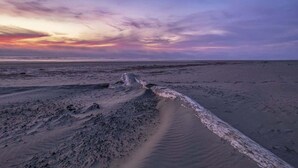 Una playa con un poste de madera al frente.