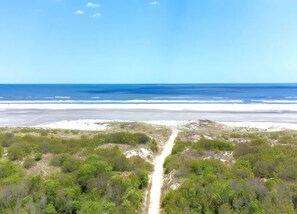 A coastal landscape with a sandy beach, dense green vegetation, and a clear blue sky.