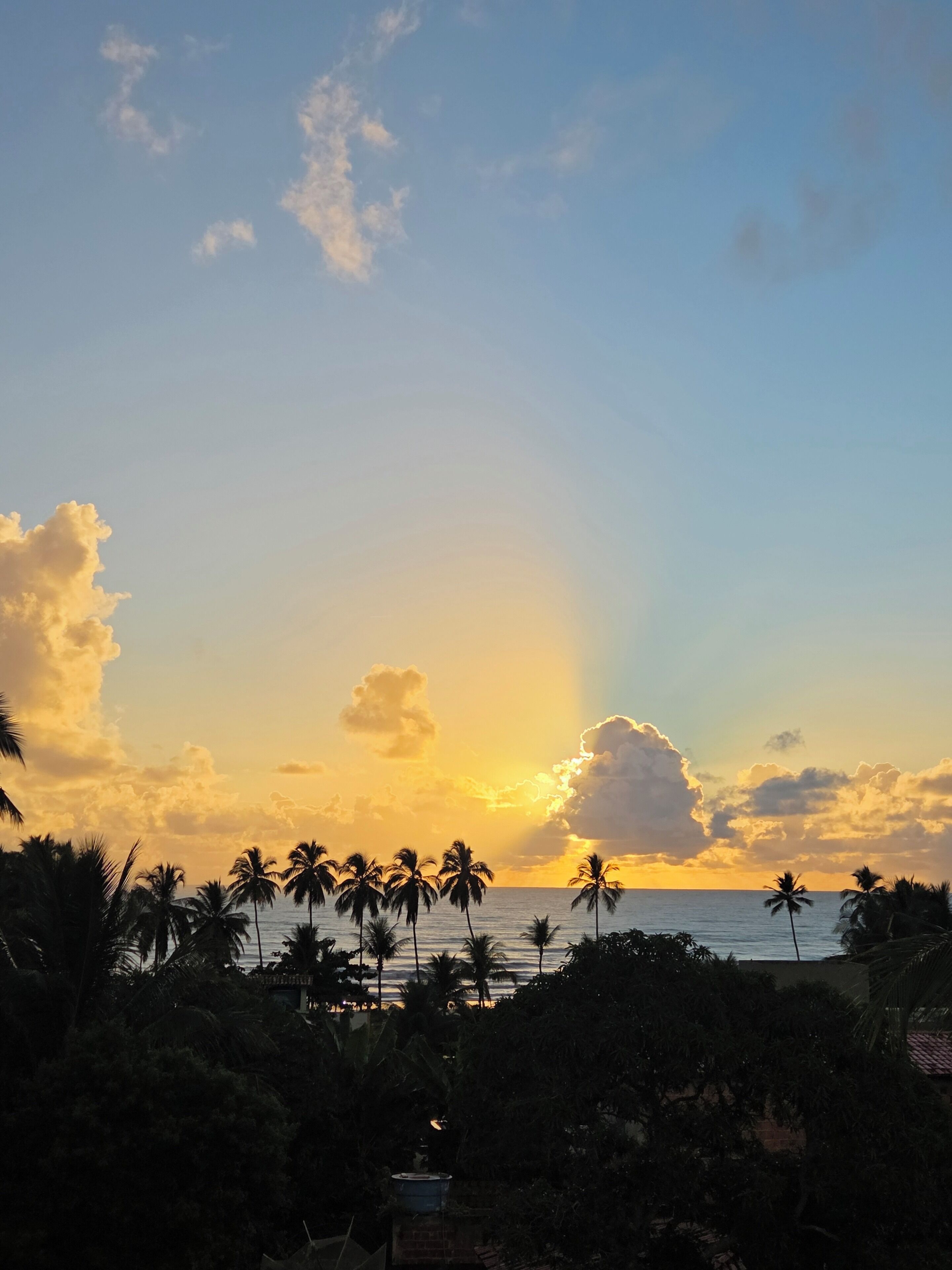 Une vue sur le coucher de soleil, avec des palmiers et un ciel dégagé.