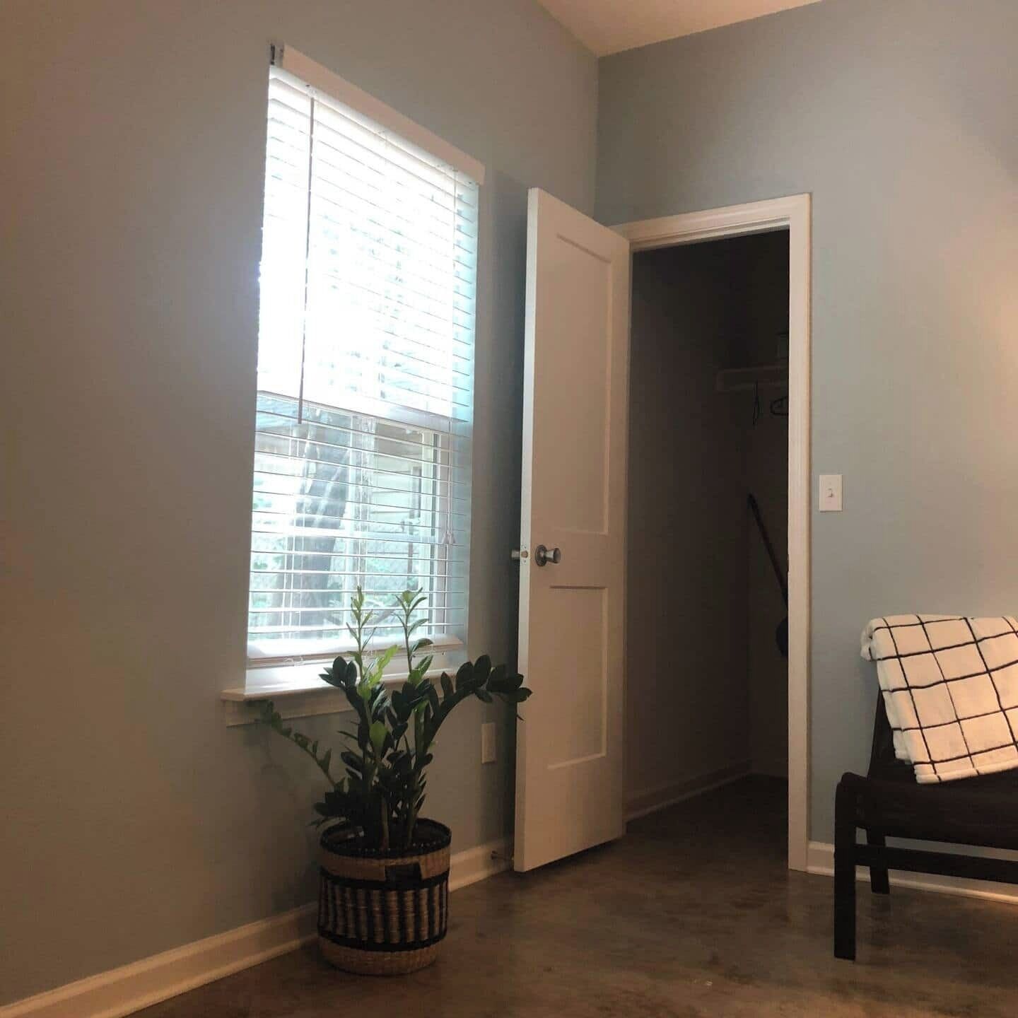 A hallway with a door, a window with blinds, a potted plant, and a chair with a blanket.