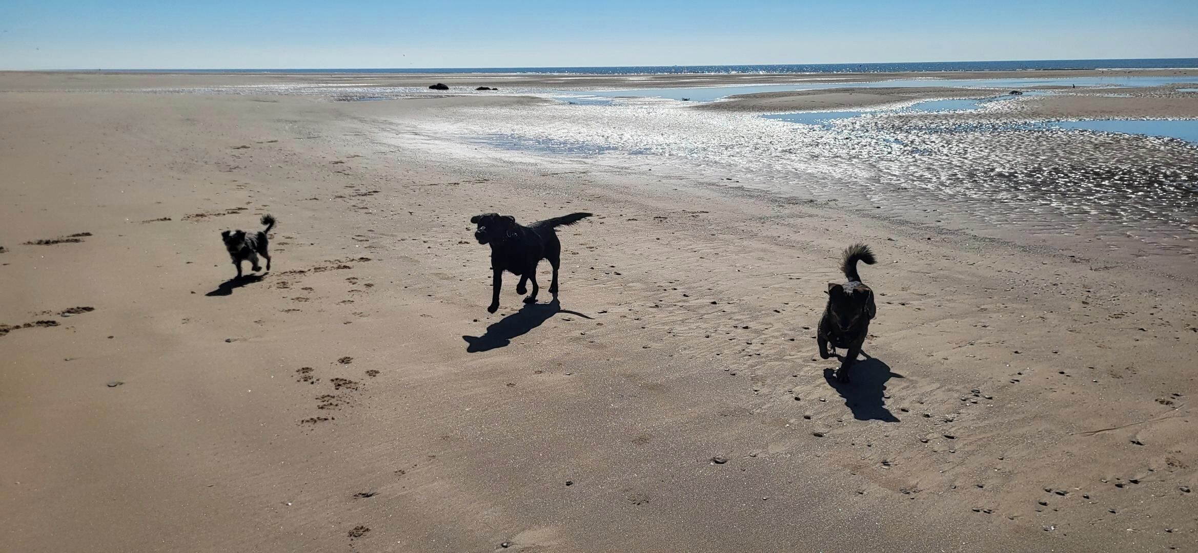 Plage à proximité