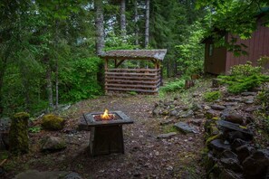 Property grounds - Mountain Cabin | EV Charger | Fire Pit | Dogs OK (Packwood)