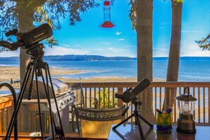 Property grounds - 4BR Waterfront Home | Sauna | Dock | Firepit (Brinnon)
