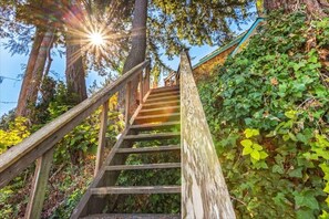 Property grounds - 4BR Waterfront Home | Sauna | Dock | Firepit (Brinnon)
