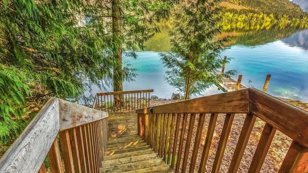Una escalera de madera que da a un lago rodeado de árboles.