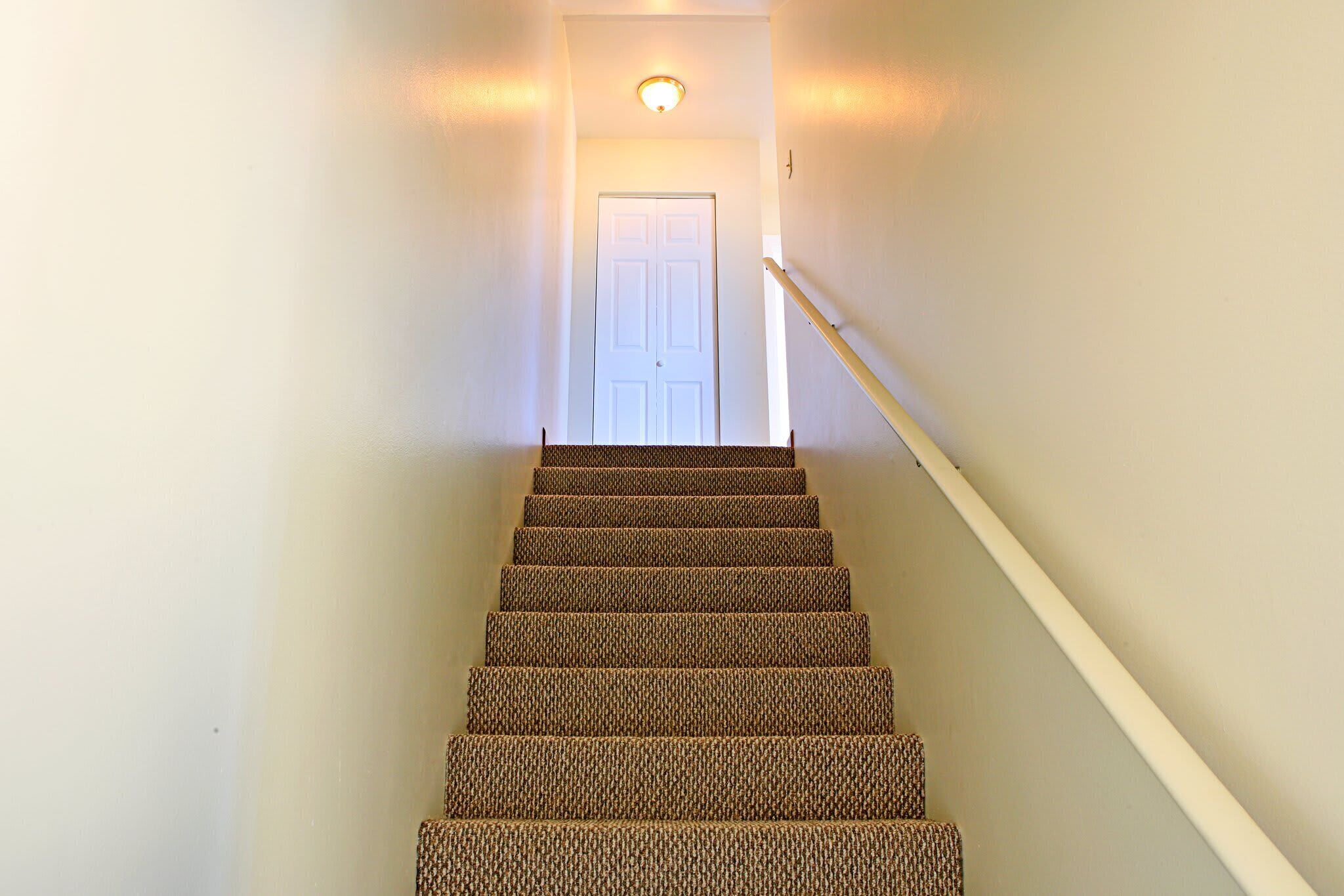 Una escalera con alfombra que conduce a una puerta blanca con una lámpara encima.