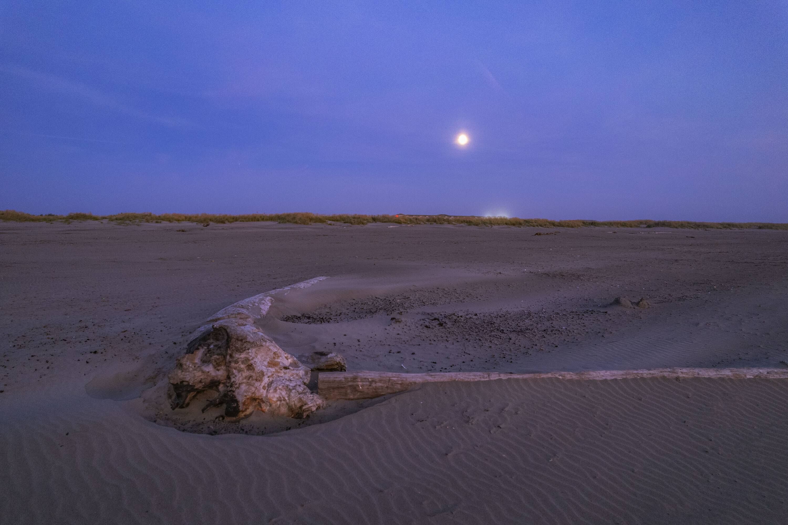 Paisaje desértico con una formación rocosa destacada en primer plano y una luna brillante en el cielo.