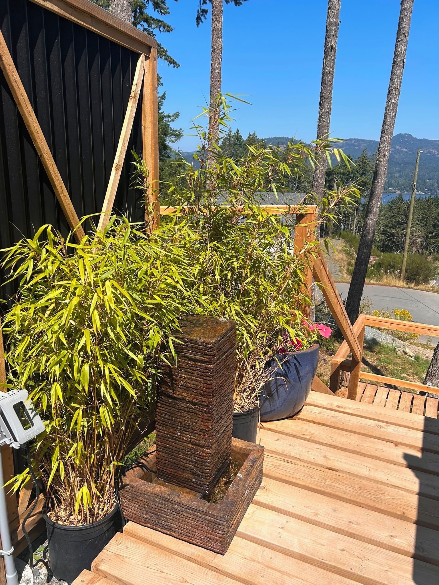 A wooden deck with a black metal structure, a large potted bamboo plant, and a black pot with a smaller plant.