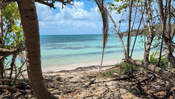 A beach with clear turquoise water, sandy shore, and trees. - Sun Seekers Retreat-Beaches• Ferry• Cold A/C• Fast WiFi (Santa María)